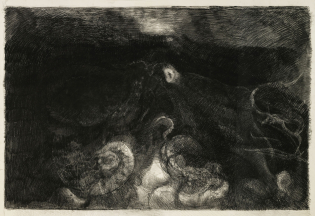 Octopus (Estate Index # HB-D-115)