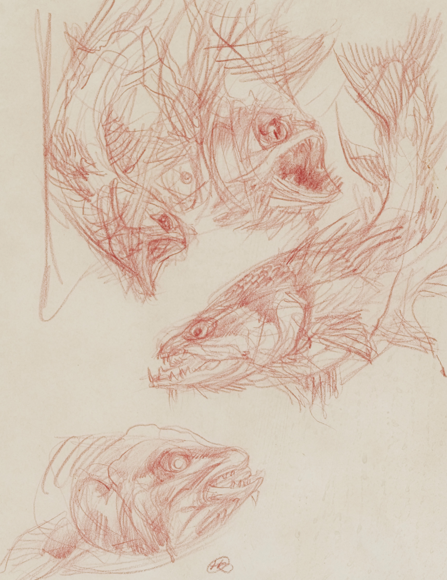 Fish Sketch (c. 1960)